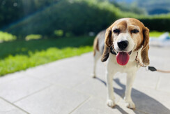 2020-08-15_16-20-22_366