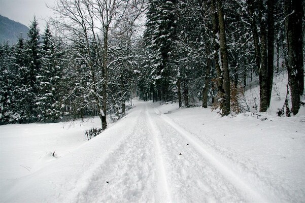 Passeggiata invernale