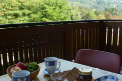 Vista dal balcone Vista dal balcone