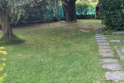 a52b8afb-6980-4547-ba2d-7aa9e832dc8f a52b8afb-6980-4547-ba2d-7aa9e832dc8f