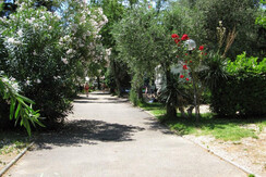 Camping_Europa_Torbole_14 Camping_Europa_Torbole_14