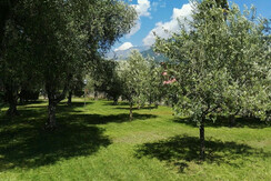 Camping_Europa_Torbole_19 Camping_Europa_Torbole_19