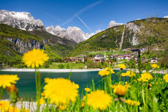 primavera-a-molveno,1853 primavera-a-molveno,1853