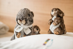 vidor-WEB-13 vidor-WEB-13