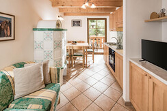 vidor-WEB-19 vidor-WEB-19