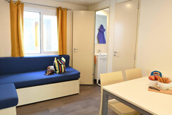 ALPHA 21 R18_7296 ALPHA 21 R18_7296