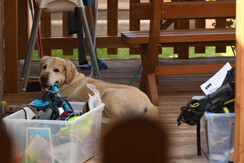 GAMMA_R18_4283 GAMMA_R18_4283