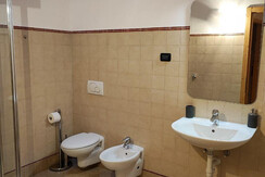 Bathroom with velux