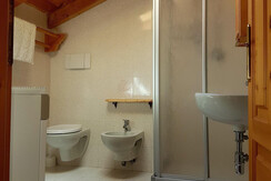 20170731_121900 - Copia