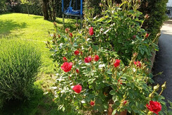 ciuin_casa_natalie_saltarello