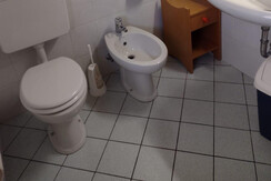 WhatsApp Image 2022-10-20 at 14.26.33