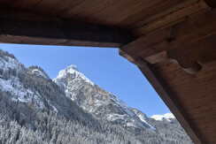 Appartamento 3  - appartamento in affitto