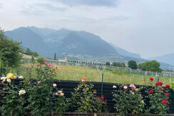 coromiga_comano_giardino