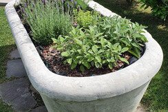 L'ANGOLO DEGLI AROMI