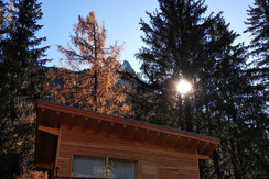 CASA-ALBERO-autunno2