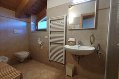 IMG_20230228_160534 IMG_20230228_160534