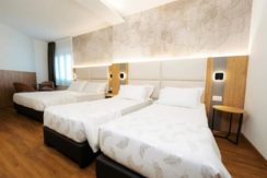 standard quadrupla 1