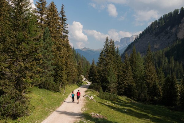 sentieri di montagna