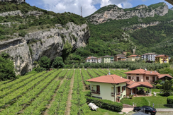 Room with mountain view