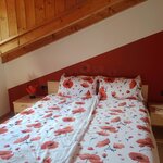  Photo of Double room, shower and bath, toilet, economy