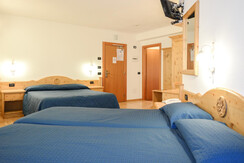 abete_bianco (17 of 60) abete_bianco (17 of 60)