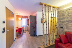 camera-alpin-suite-2