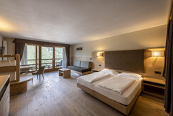 camera-308-1 sas aut