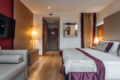 BELVEDERE MATRIMONIALE - Hotel Villa Madruzzo (4)