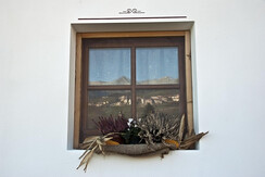 DSC_0028IM DSC_0028IM