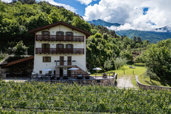 20240603_masosalim-0259 (FILEminimizer) 20240603_masosalim-0259 (FILEminimizer)