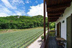 20240603_salim_AR903034-app 2 balcone 20240603_salim_AR903034-app 2 balcone