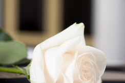 KLR foto - ParcHotelFlora - camera 109 - 05