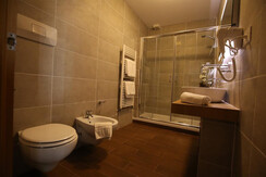 Comfort room - bathroom with shower Comfort room - bathroom with shower