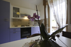 IMG_1996-25 IMG_1996-25