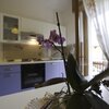  foto van Appartement 4