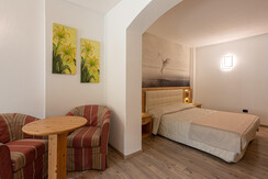 Junior Suite Junior Suite