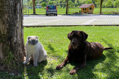 WhatsApp Image 2023-06-13 at 11.37.01 (2) WhatsApp Image 2023-06-13 at 11.37.01 (2)