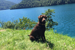 WhatsApp Image 2023-06-13 at 11.33.12 WhatsApp Image 2023-06-13 at 11.33.12