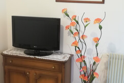 IMG_20210412_160839_resized_20210415_102349075 IMG_20210412_160839_resized_20210415_102349075