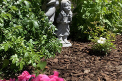 6111875B-60F5-441C-BE23-A54162DECB8C