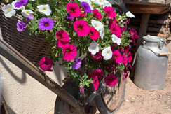 E3421367-DF3A-46D7-B1FF-A62E76DD8DDF