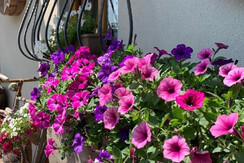 DD46E796-13E6-452F-9217-D6B43590E539