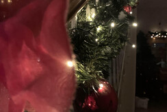 92DD7EE9-4C92-47D7-B6A2-130783CAE9AC