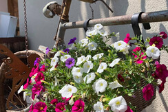 EA2CBB5F-77ED-4743-A7EF-DA5A0F947B39