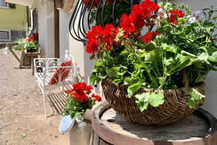 A5F98C09-66E4-439E-B516-DF440CB194BE