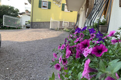 0DD01D65-A247-49DC-8873-4068114E5F79