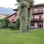 Foto di Villa Turrini con grande giardino
