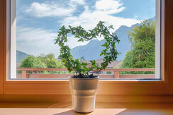 Finestra della cucina sul giardino a sud...