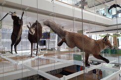 7707F2A2-72AE-438E-943C-E36B0BFF0DA1