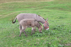 D060C47C-3FBC-4F60-9649-B8FEDA03AE4F